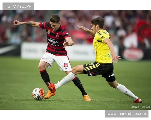 曹圭成前锋价值持续提升，近期表现稳健值得关注