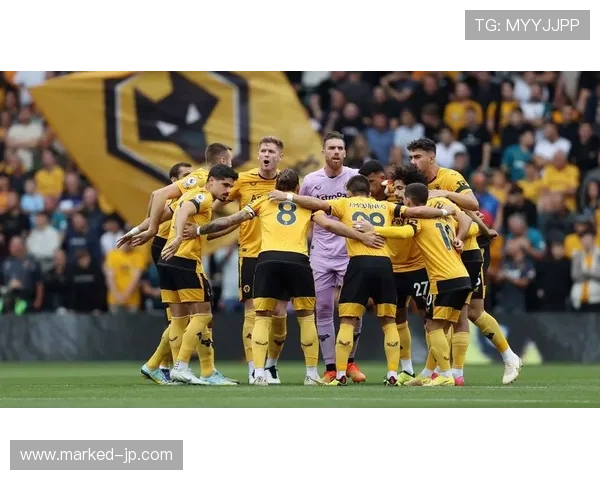 狼队主帅战术风格解析：防守稳固与快速反击成鲜明标签