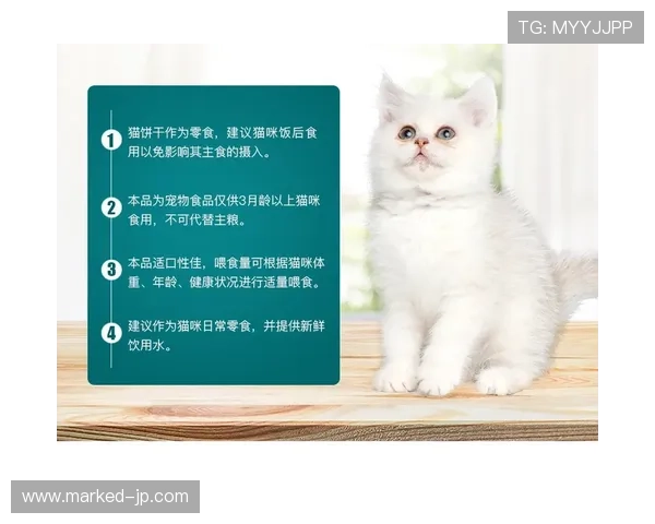 掌敏洁家的猫喝依云，她本人赛前啃压缩饼干？